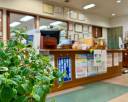 sasebo-pharmacy-sasebo-pharmacy_s-bright-and- open-store